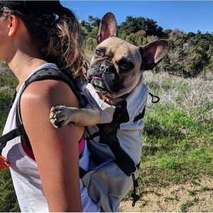 Sac à dos pour chien Bouledogue