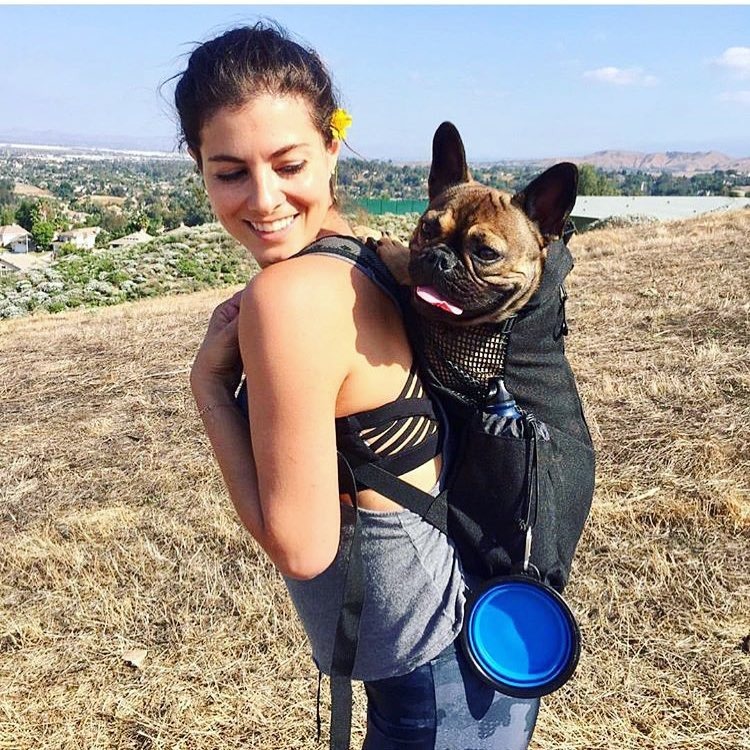 Sac à dos pour chien Bouledogue