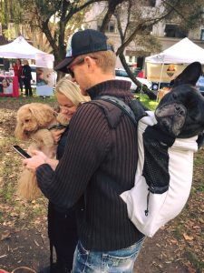 Sac de transport pour chien Bouledogue