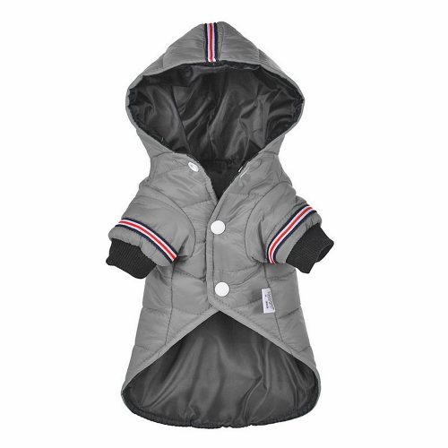 Manteau chien hiver