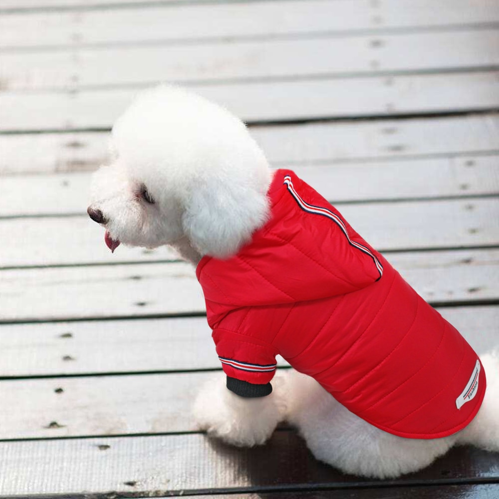 Veste manteau pour chien petite taille