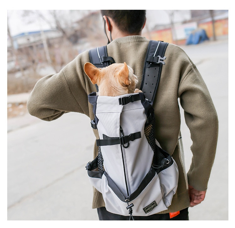 Sac à dos pour chien Bouledogue