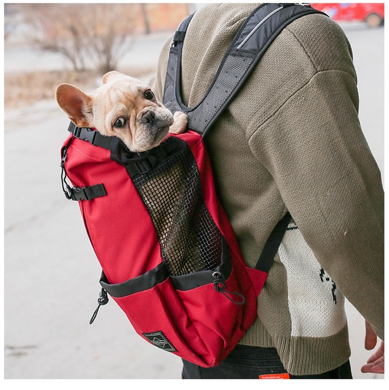 Sac de transport pour chien Bouledogue